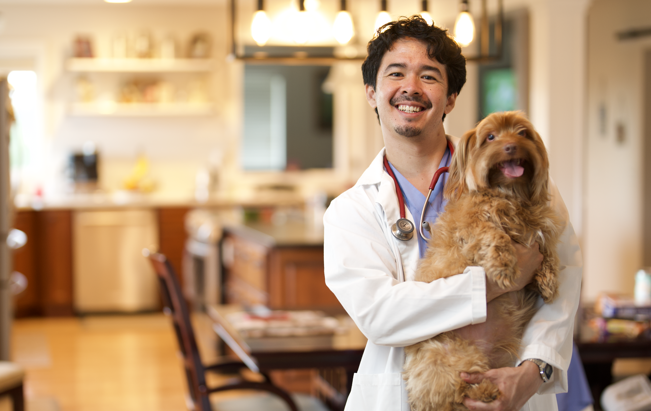 Vet professional smiling and holding calm dog